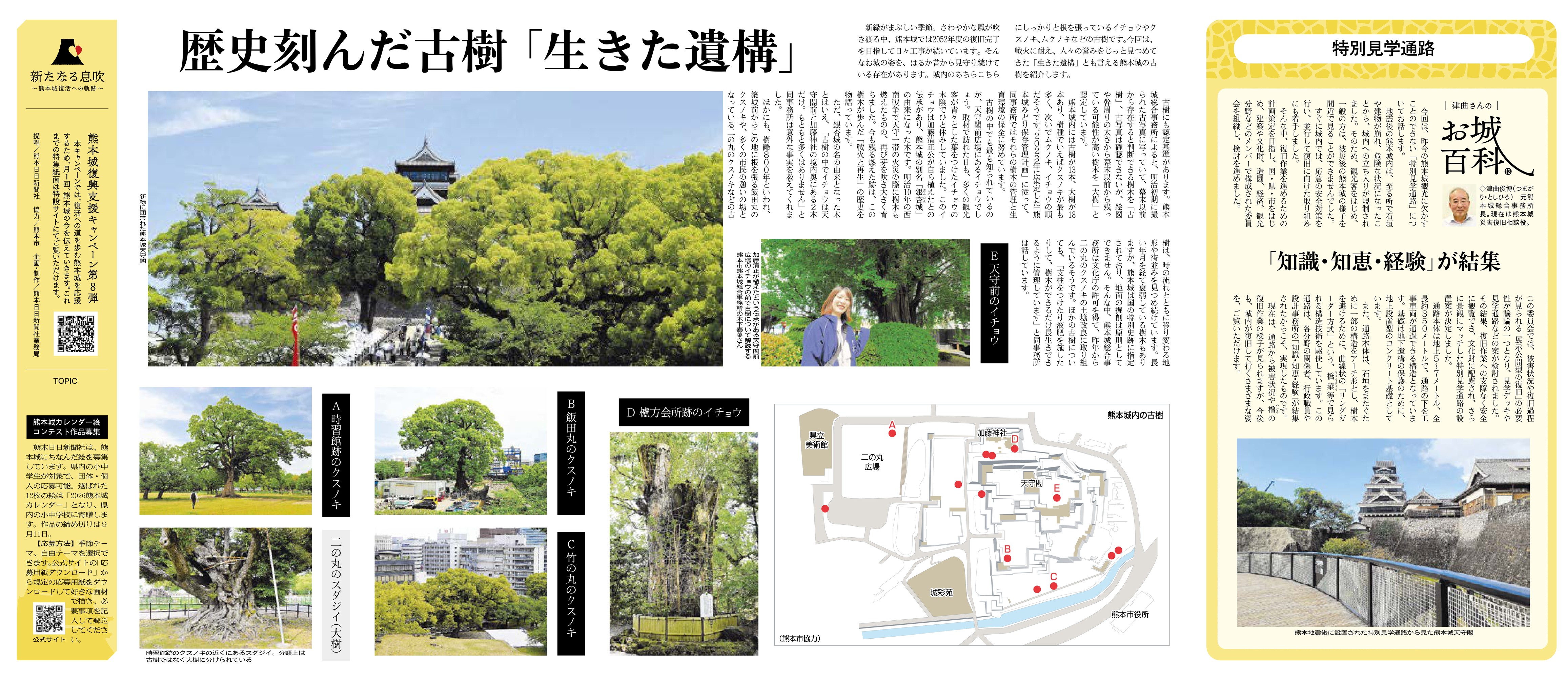 5月28日掲載紙面